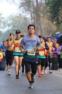BIB: 166, 16982
                            <button type="button" onclick="openModal(10413436)" class="btn btn-primary btn-sm float-right btn-popup" data-toggle="modal" data-target=".modal-high-quality">
                        <i class="fas fa-shopping-cart"></i> Add to Cart
                    </button>
                                            <button type="button" onclick="isThisMe(10413436, true)" class="btn btn-success btn-sm float-right btn-popup btn-isme hidden" data-toggle="tooltip" data-placement="bottom" title="นี่คือรูปของคุณใช่ไหม คลิกที่นี่เพื่อเอาเข้าอัลบั้ม">
                        <i class="fas fa-plus"></i> Add to album
                    </button>
                    <button type="button" onclick="isThisMe(10413436, false)" class="btn btn-warning btn-sm float-right btn-popup btn-isnotme hidden">
                        <i class="fas fa-ban"></i> Remove from album
                    </button>
